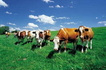 海右博納簽約如康集團品牌形象全案策劃/設計