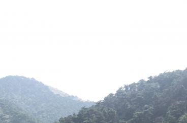 72小時，我們在一起